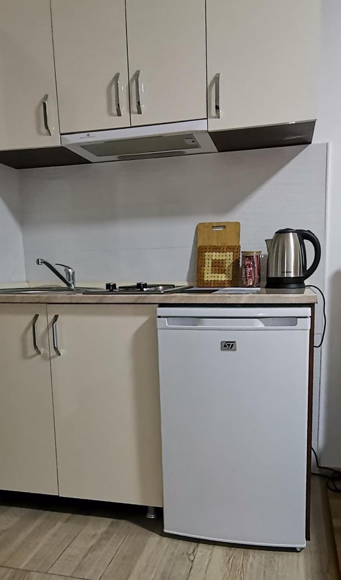 Center Apartment Delfina Ohrid Bagian luar foto