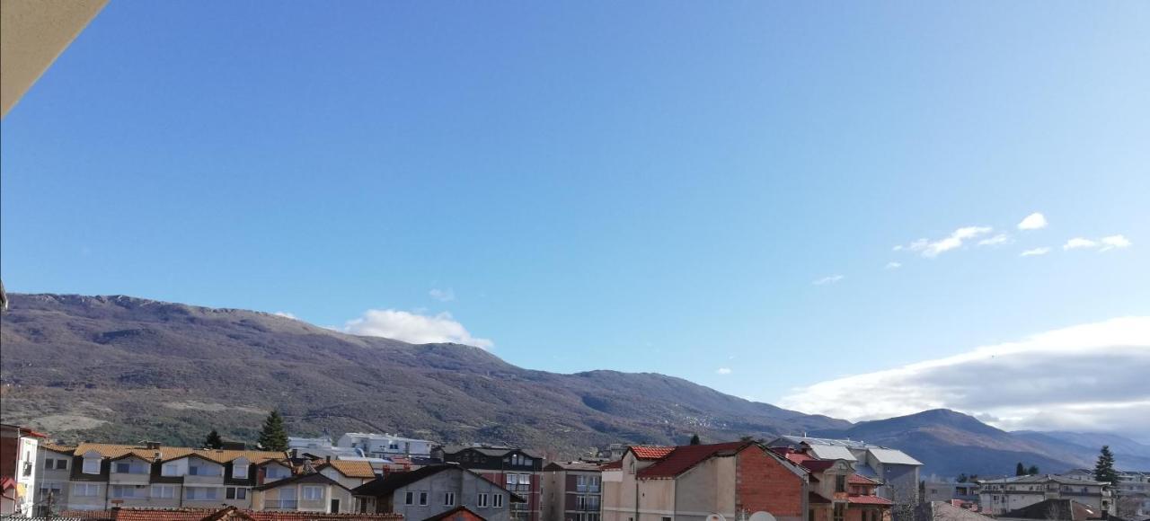 Center Apartment Delfina Ohrid Bagian luar foto
