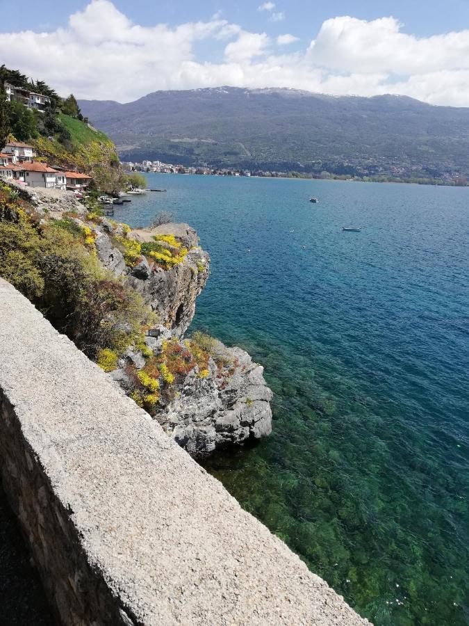 Center Apartment Delfina Ohrid Bagian luar foto
